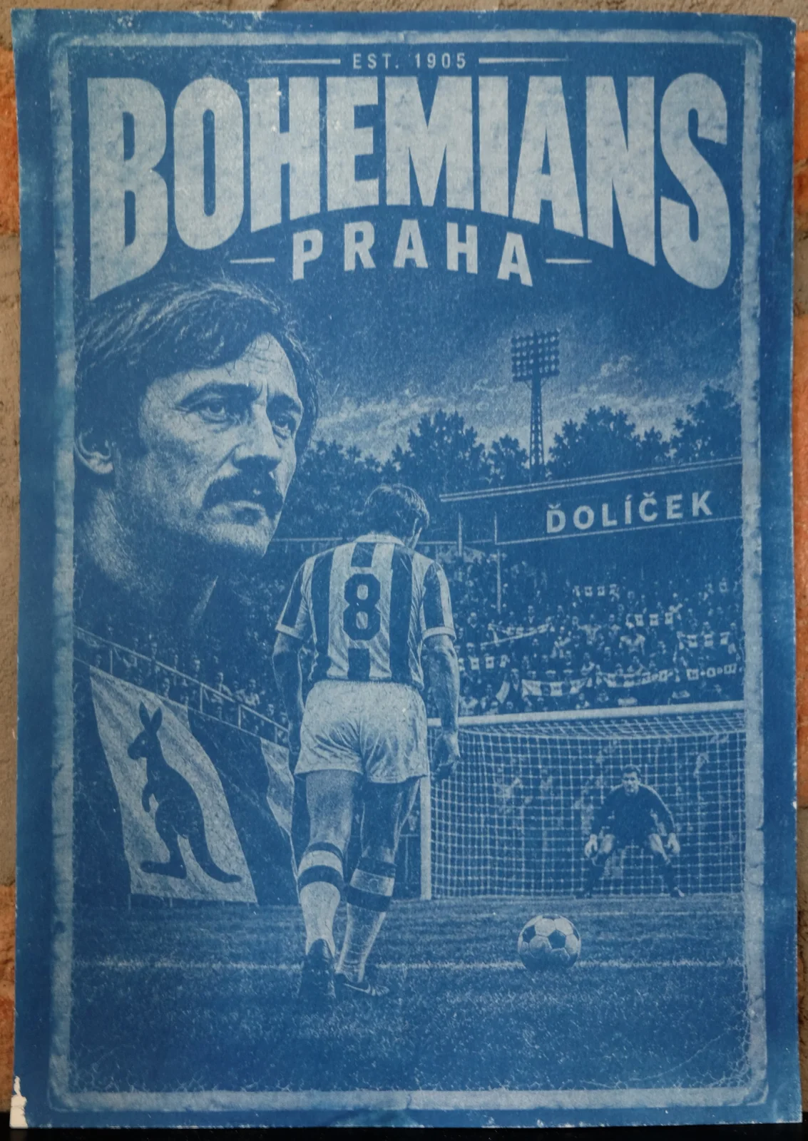 Gráfico de Bohemians Praha #BlueprintBohemiansPraha05
